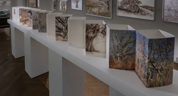 Leporello, 2022 Sotheby's London