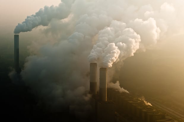 The earth is warming, and our climate is changing. There is little evidence that politicians and businesses will rise to...