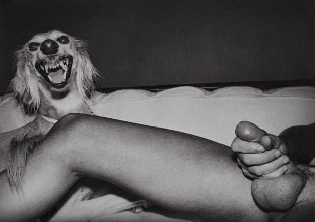 In 1980, DeSana published Submission, a volume of 29 photographs illustrating sadomasochistic sex practices. Together with Robert Mapplethorpe, DeSana thus...