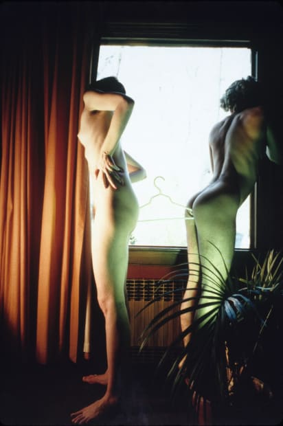 Immediately after Submission, DeSana began Suburban, a series that continued his exploration of domestic environments featuring naked people, but now...