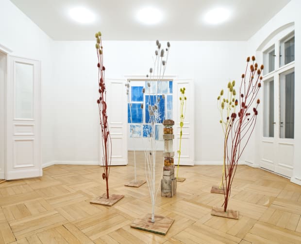 Silke Schatz views Manheim as an educational site on several levels – ecologically, socially and mentally. In her own words:...