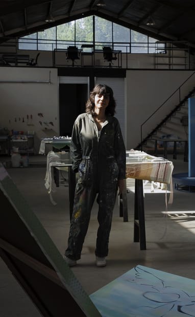 Hoda Kashiha, Overview