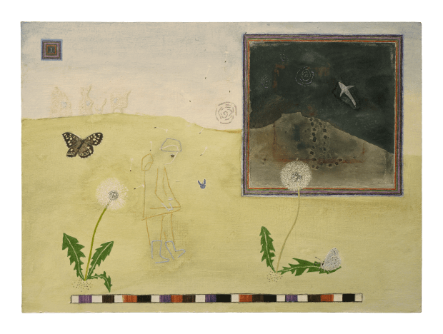 Field Wandering Reveries