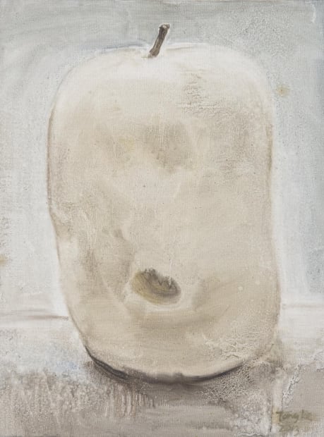 painting of a white fruit on a table.