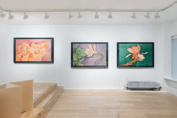 installation view of Chen Duxi's solo exhibition the Order of the Body