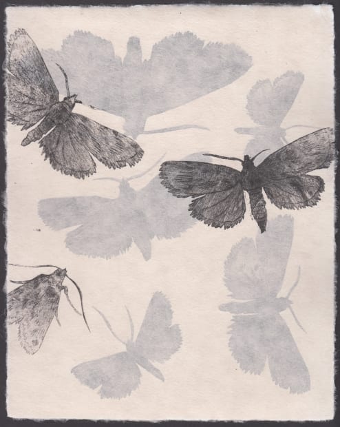 “Quiet Friend is about a companionship that is unchosen. Connections and actions made unconsciously, seeping out and connecting us to...