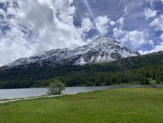 Bananas, FEDERICO LUGER