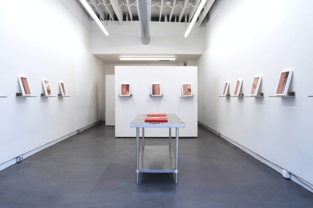 Ötzi at Praise Shadows: Nicole Wilson, Solo Exhibition