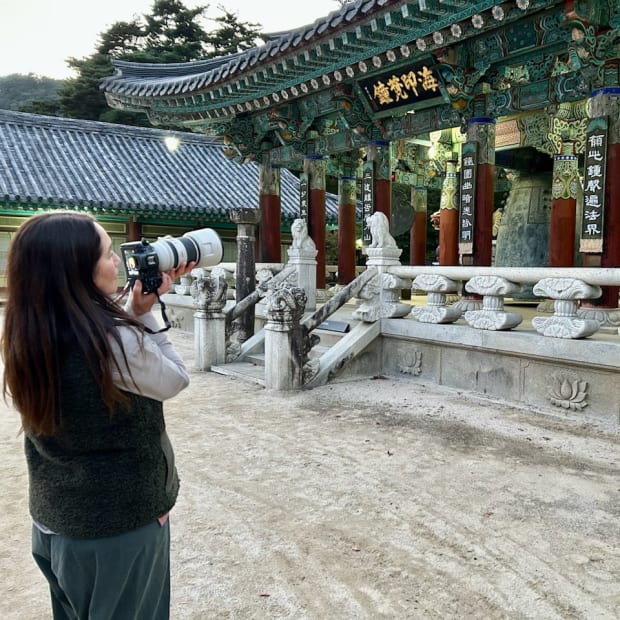 October 2024, Exploring the natural world, spiritual landscape and historical sites of the South Korean Peninsula.