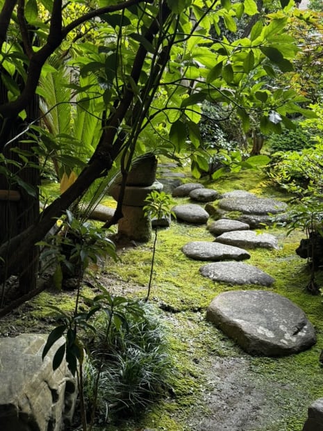 May 2024, Photography residency in Kyoto, Japan with American visual philosopher Dr. Brett L. Erickson and the Canadian/ Japanese photographer...