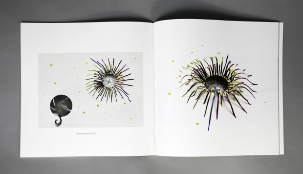 SANDRA CORDERO PLANETA SANDRA, 2019 Published in concert with the first New York solo exhibition, Planeta Sandra, by Cuban artist...