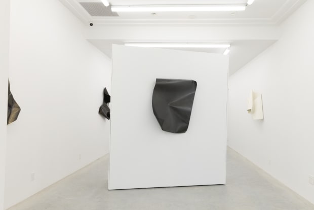 ARDEN + WHITE GALLERY is a contemporary art space dedicated to showcasing a dynamic roster of emerging and established international...