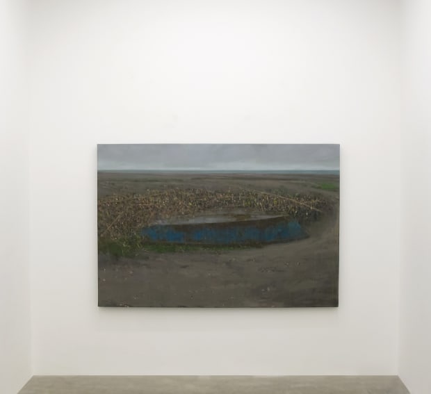 Current Exhibition, Swamp: Solo Show By Abbas Nasle Shamloo