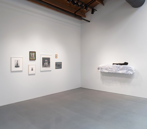 FOLDS, Survey Exhibition