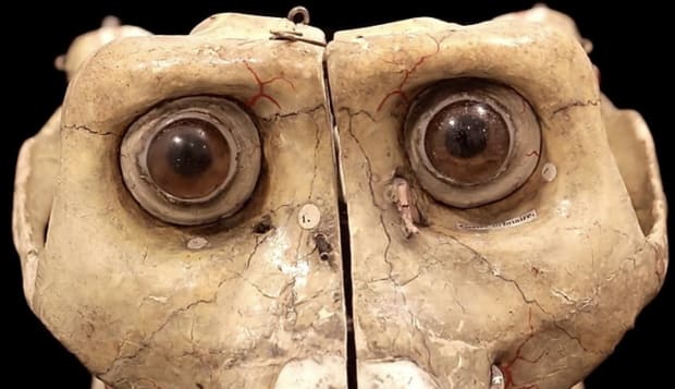 After a relatively long period in which most neglected artefacts of cultural and scientific heritage either slowly disintegrated, or were...