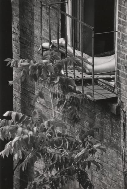 André Kertész (1894-1985)