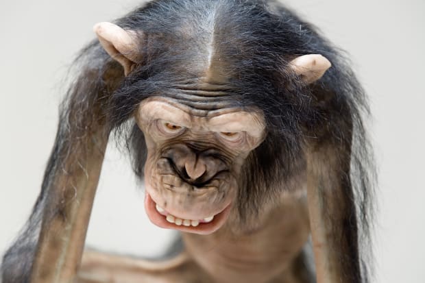 Old Enemy, New Victim presents a darkly comic scene of violence: a monkey lies torn apart, under attack by two...