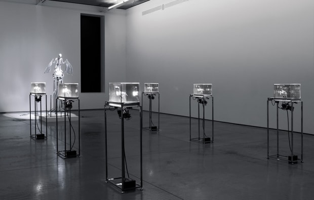 Мэт Коллишоу