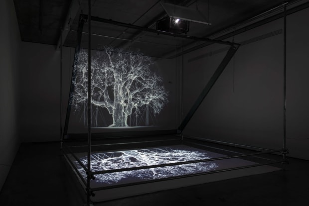 Albion and Gasconades Albion (2017) presents a ghostly projection of the famed oak in Sherwood Forest, reputed to have sheltered...