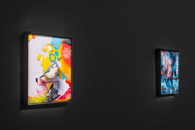 Albion and Gasconades Albion (2017) presents a ghostly projection of the famed oak in Sherwood Forest, reputed to have sheltered...