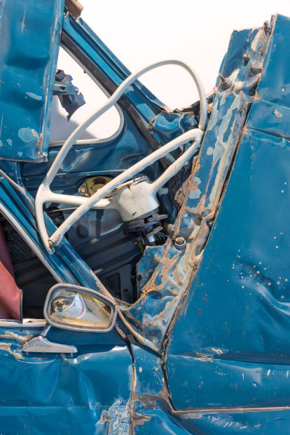 The “Pressed Flowers” “Pressed Flowers” (2013) — previously exhibited at the Pinacoteca Agnelli in Italy and the Design Museum Holon...