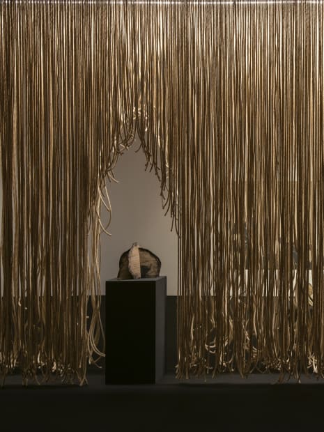 In the past few years, a new history has been unveiled to me. A history of humanity, a history of...