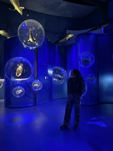 During her residency in Venice, Osaru Obaseki has immersed herself in the culture and history of the city, drawing inspiration...
