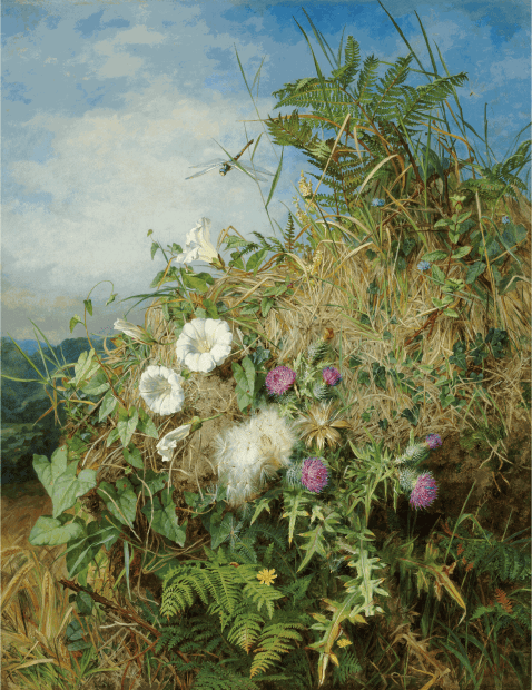 Martha Darley Mutrie (1824-1885) Wild flowers at the corner of a cornfield Oil on canvas; initialled 32 x 25 ¼...