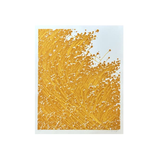 Chae Sung-Pil, (1972 - à nos jours )