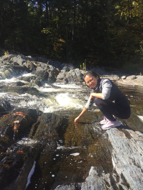 When Chinese-born artist Ping Zheng was still a child, she walked into a field of red wild berries, a sea...