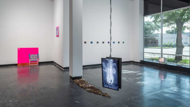 Emily Peacock: die laughing Lawndale Art & Performance Center, Houston, TX, 2021 'For more than 15 years, Emily Peacock has...