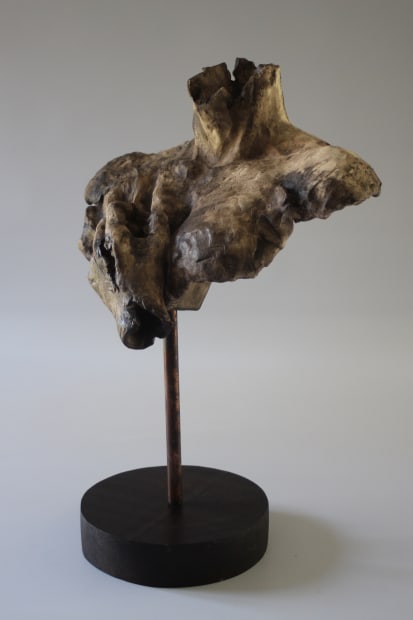 Q: Would you say that your sculptures are an endeavour to critique Western beauty standards? A: I think the emphasis...