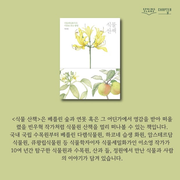 Spring Flare & Promenade