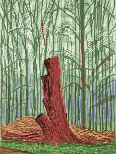 Hockney iPad drawing of Woldgate red tree stump in woodland 25 February 2011 Arrival of Spring