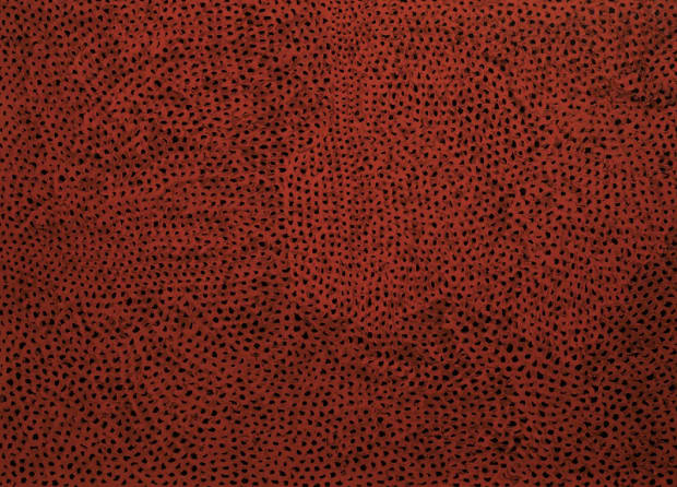Yayoi Kusama, Untitled, circa 1960. Oil on canvas, 102 × 142.2 cm. Abstract composition with layered marks and dense surface texture.