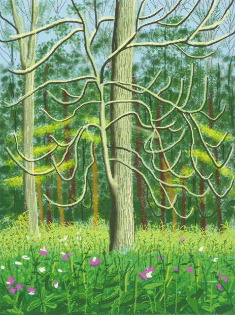 Hockney iPad drawing of pale forest tree with tangled limbs, pink and white wildflowers, 4 May 2011, Arrival of Spring Woldgate