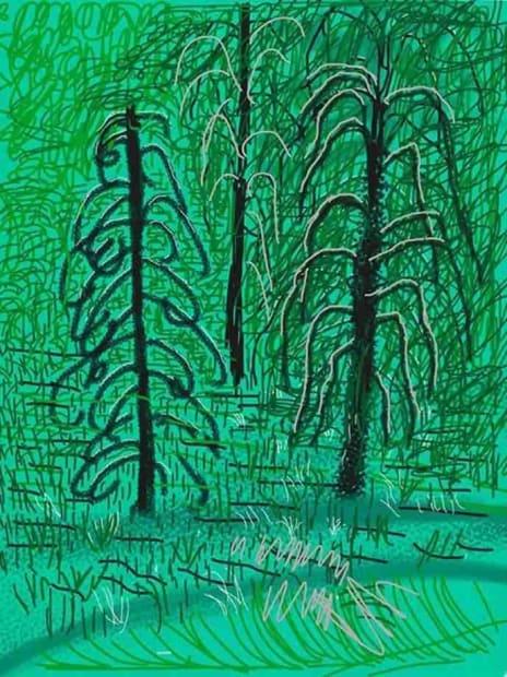 Yosemite No. 16, 2010