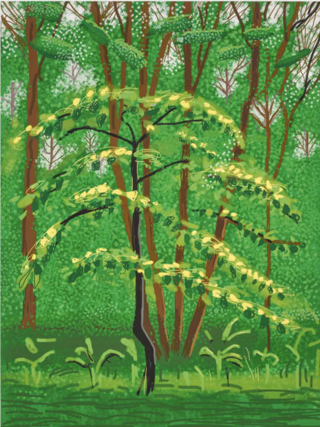 THE ARRIVAL OF SPRING IN WOLDGATE, EAST YORKSHIRE, 19 May 2011