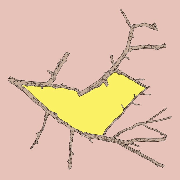 主な個展 「Creation Is Free. Production Needs Fee.」(2013;クリエーションギャラリーG8)、「配置」(2019;パレットクラブ)、「起点のように見えるアイデアは大抵作業の後半で発見される」(2023;デザインギャラリー1953)、「グラフィックデザインのある空間」(2024;ギンザ・グラフィック・ギャラリー) 主なグループ展 「ラブラブショー」(2009;青森県立美術館)、「Tokyo Graphic Passport」(2011;ポンピドゥー・センター)、「VOCA展 2013」(上野の森美術館)、「青森コンプレックス 2016」(青森県立美術館)、「もじ イメージ Graphic 展」(2023;21_21 Design Sight)、「Japanese Graphic Design...