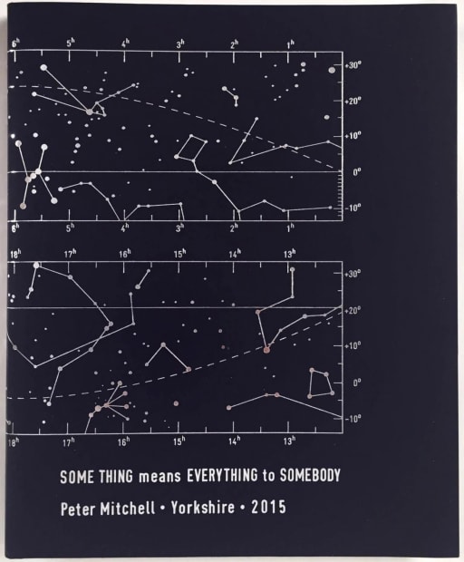 Some Thing means Everything to Somebody is an autobiography told through inanimate objects silently observed by scarecrows. It relates surreal...