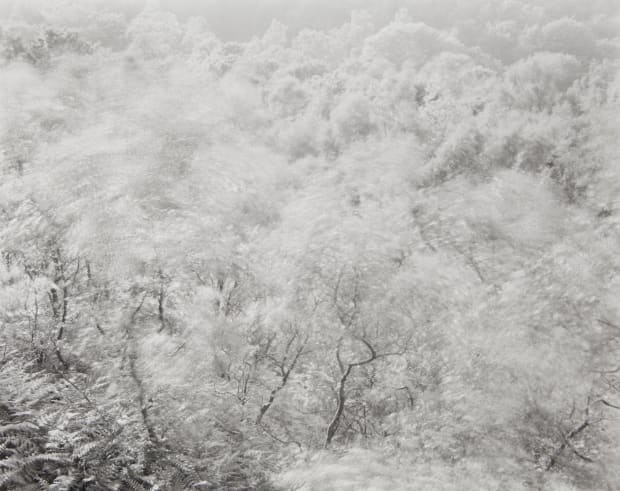 In 1980 I stopped working in the landscape and my still life work began. A year or so later the...