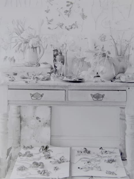 Tulipa – Some Thoughts On Picture Making John Blakemore Imagine a space, a domestic space, a familiar space. The elements...