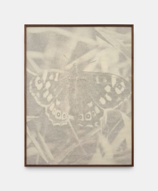 Wen, through repeated scanning and reprinting of her original image, discards photographic precision to acquire a painterly softness&mdash;a texture echoing...