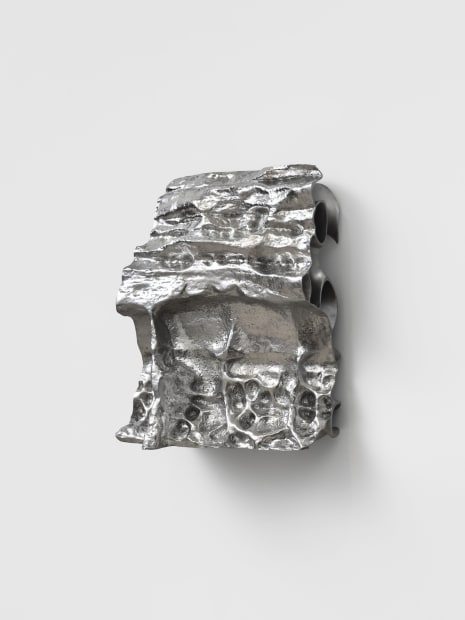 Si-Qin strives to portray nature in its closest, most honest form, free from the reductive socio-linguistic filters that often see...