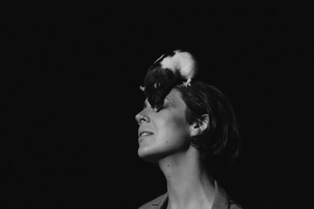 Florence Fitzgerald-Allsopp (PhD) is a UK-based curator, writer, and producer. Her recent Techne-funded doctoral research considered the ethics of interspecies...