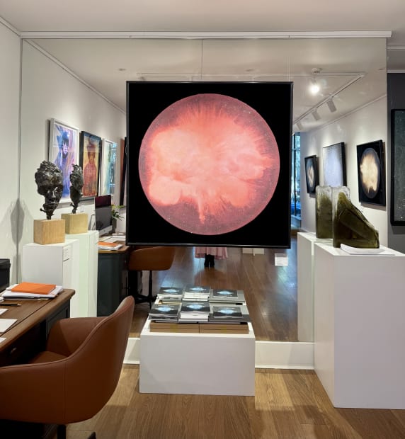 NoonPowell Fine Art is a contemporary art gallery in the heart of Richmond upon Thames, showcasing curated collections from award-winning,...
