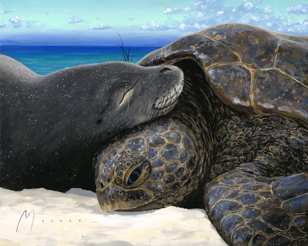 Find Your Art, Find the art that speaks to you