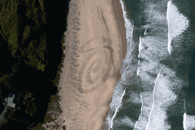 STÜSSY, Northern California