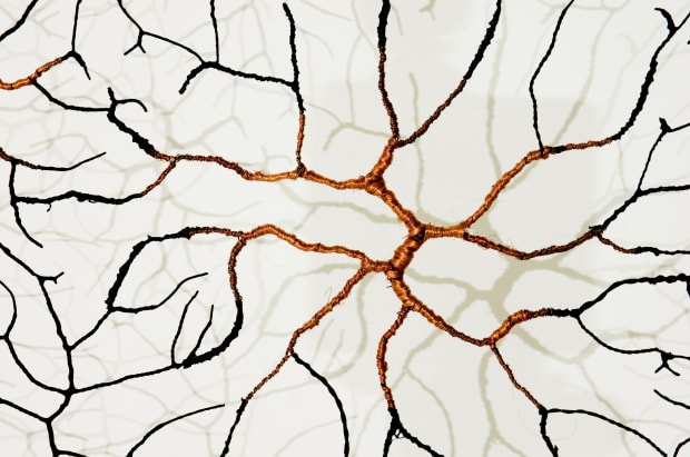 Museum Acquisition, Gjertrud Hals by Centre Georges Pompidou