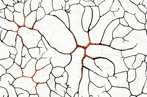 Museum Acquisition, Gjertrud Hals by Centre Georges Pompidou